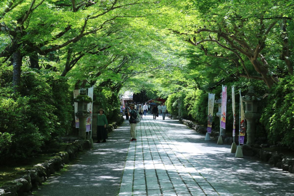 5月17日　石山寺へ